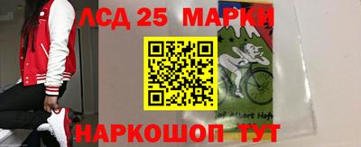 PSILOCYBIN Гудермес