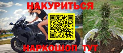 PSILOCYBIN Гудермес