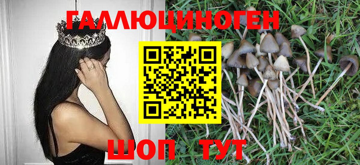 Псилоцибиновые грибы мухоморы  Псилоцибиновые грибы MAGIC MUSHROOMS  Вход с VPN  Мелеуз 
