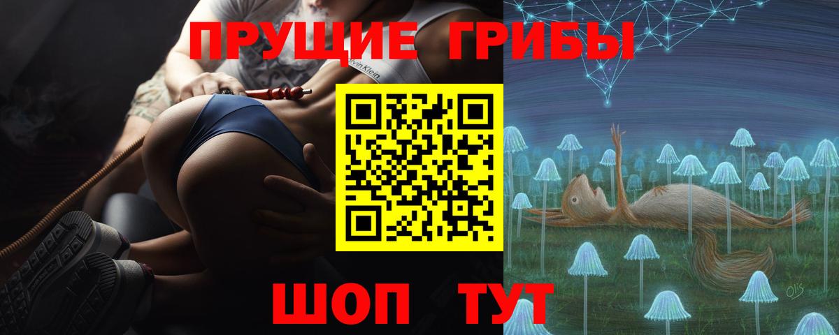 Псилоцибиновые грибы прущие грибы Мелеуз